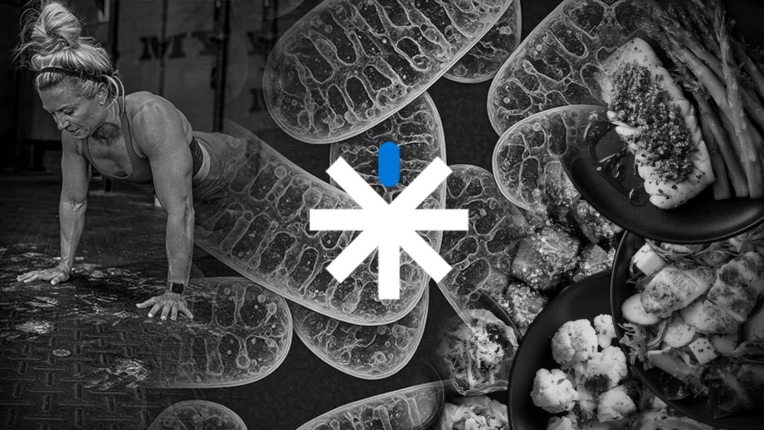 Qu-est-ce-que-MetFix