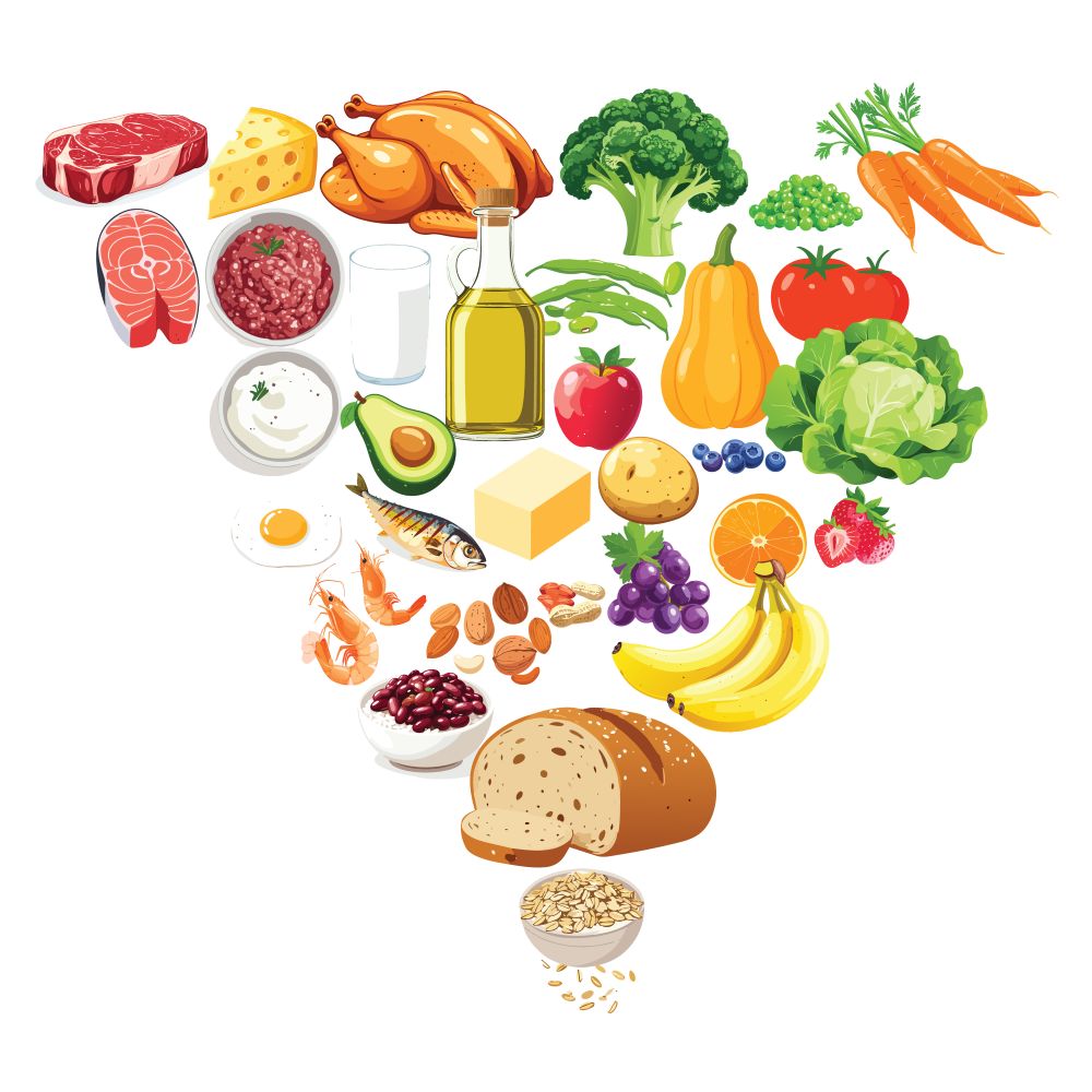 antropos-crossfit-la-methode-metfix